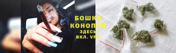 PSILOCYBIN Богородск