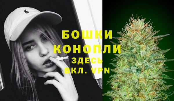 PSILOCYBIN Богородск
