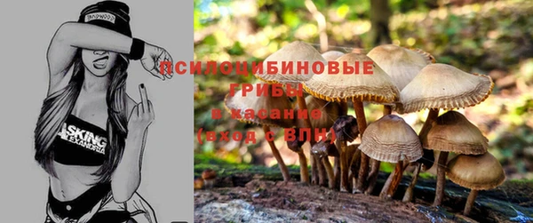 PSILOCYBIN Богородск