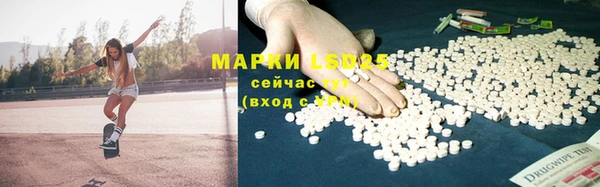 PSILOCYBIN Богородск