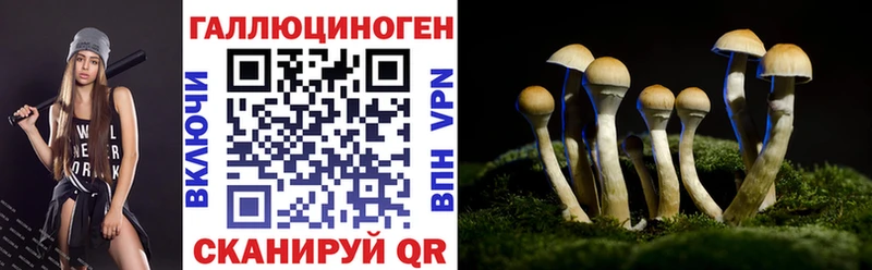 Псилоцибиновые грибы MAGIC MUSHROOMS  Купить где  Морозовск 